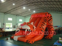 Sabertooth tygrys slajdów