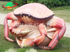 Hot-selling Custom Inflatable Crab For Decoration