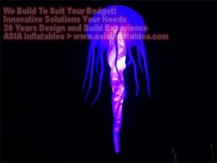 10-calowa nadmuchana jellyfish