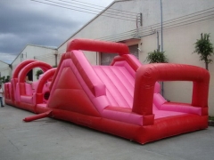 Disneyland Inflatable Obstacle Course